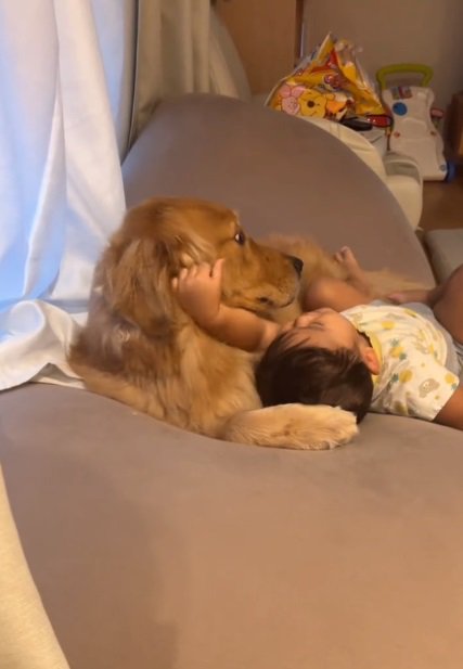 こむぎくんの顔をつかむ息子さん