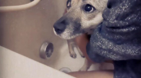 「本当に怖くない？」