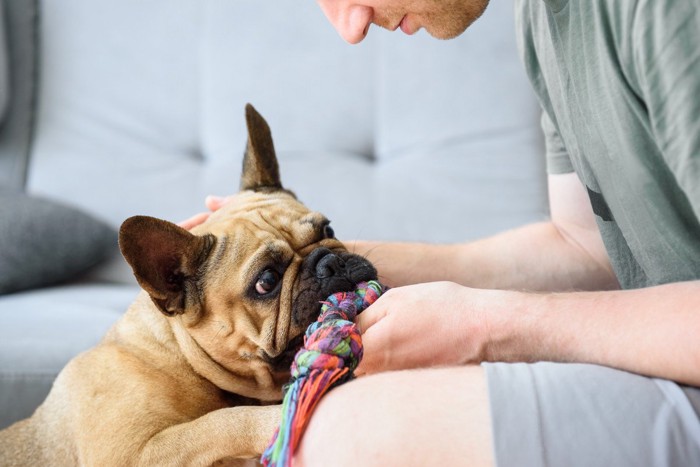 男性と一緒に遊ぶ犬