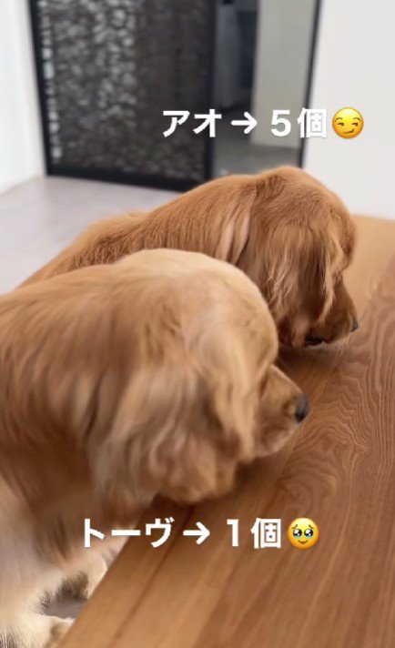 驚きの結果に！