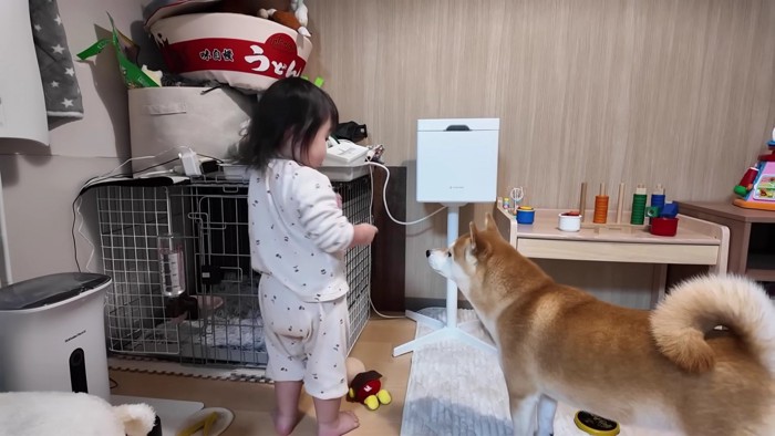 わんこのおやつが気になる…