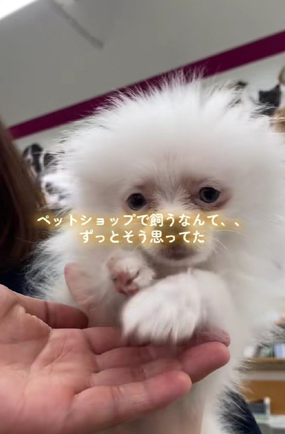 幸せにしてあげたい