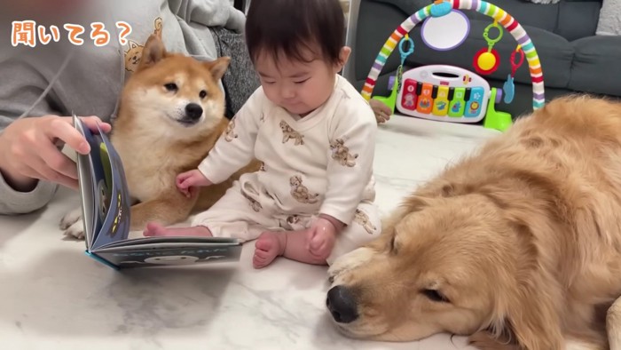 「みんな、聞いてる？」