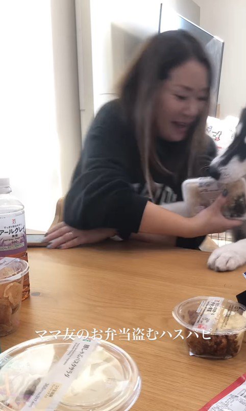 お弁当を盗む豆蔵くん4