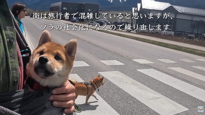 みんなで街にお出かけ♪