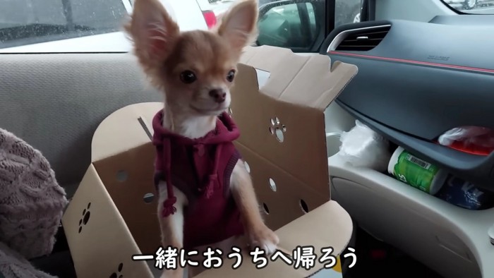 意を決してお迎え