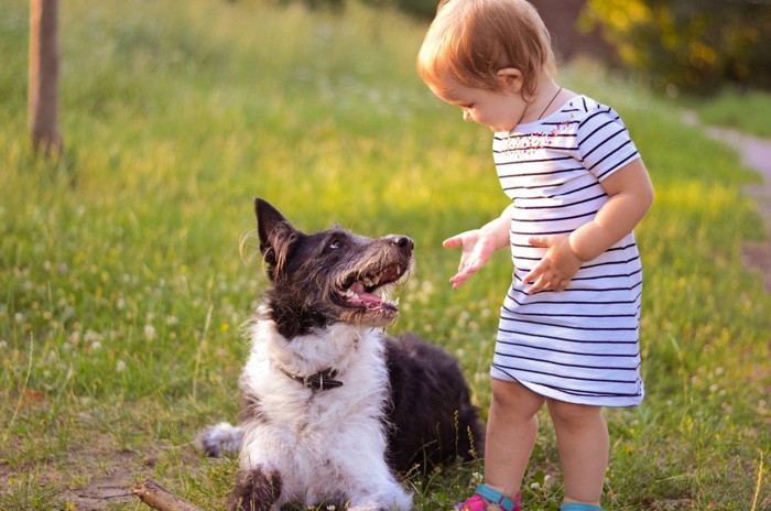 女の子を見上げる犬