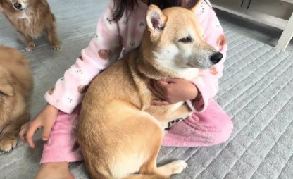 女の子に甘えるシイちゃん