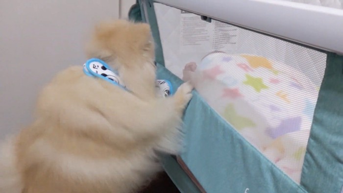 「どうしたの？大丈夫？」