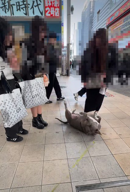 ギャップが素敵なソラちゃんでした