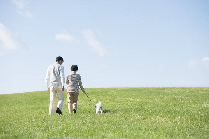 散歩する犬と老夫婦の後ろ姿