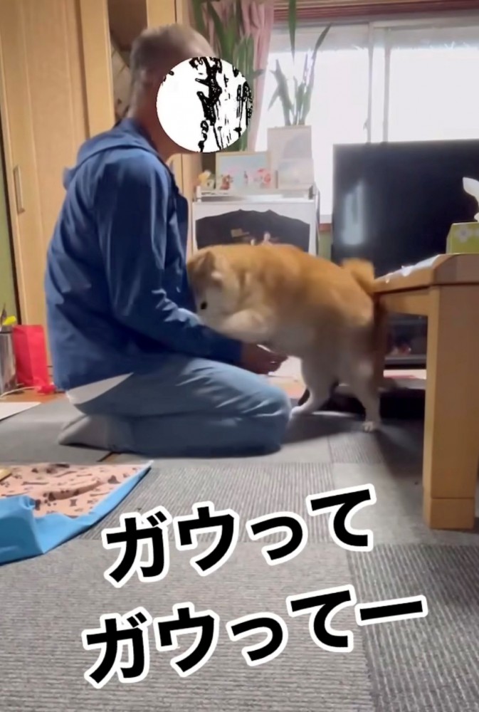 前足をかける犬