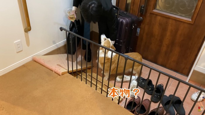 「本物のお兄ちゃん?」とお顔を見て確認