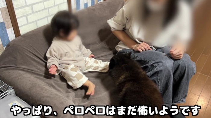 赤ちゃんの足をペロペロ