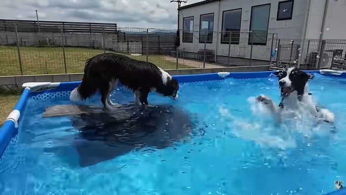 プールに入れないメルちゃん