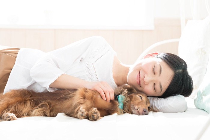 一緒に眠る女性と犬