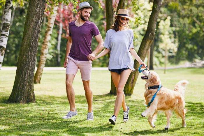 ショートパンツ姿の飼い主カップルと散歩する犬