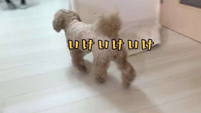 今のうちー！！