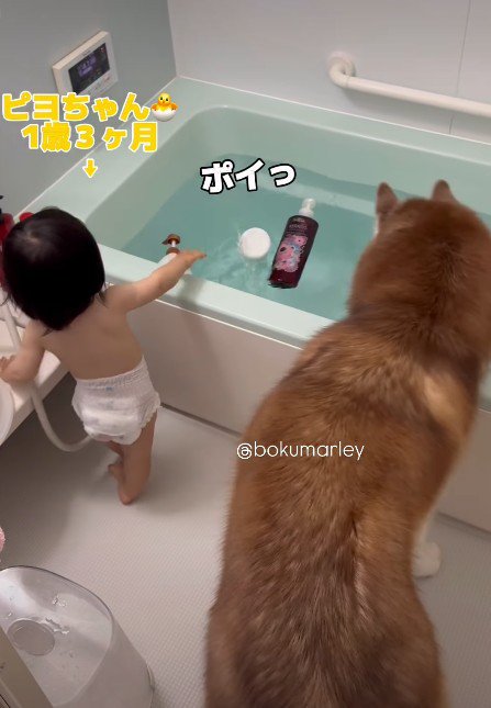 浴槽にポイポイ!!