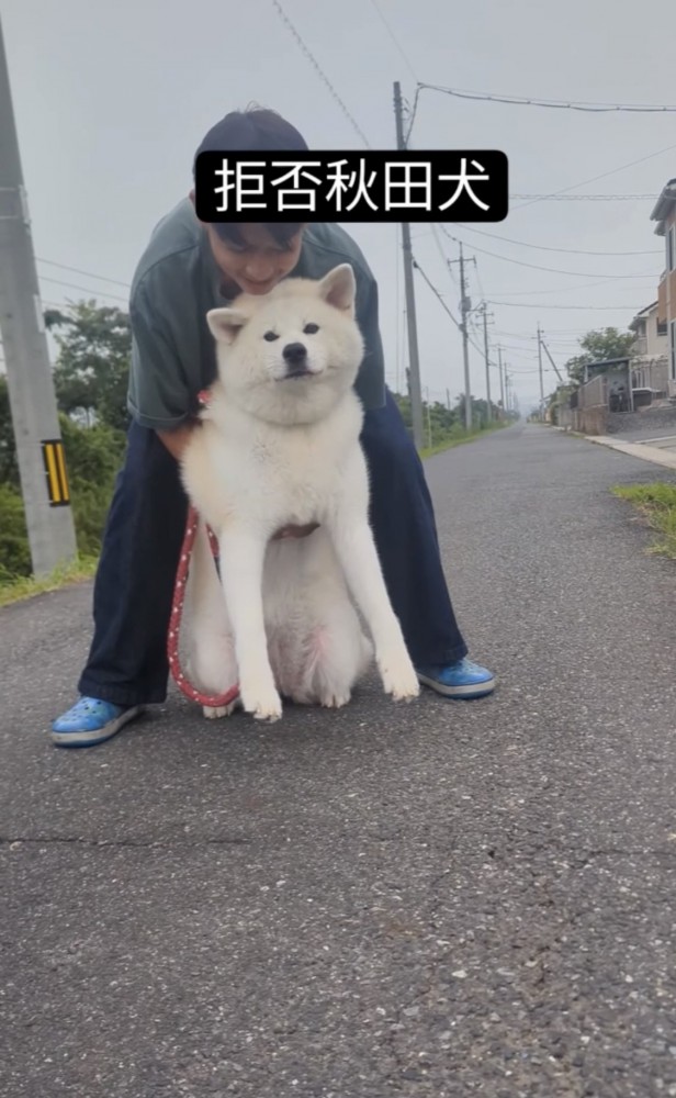 持ち上がらない犬3