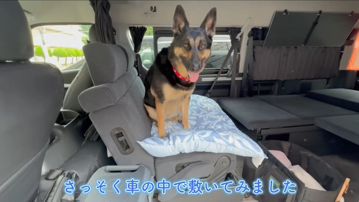 さっそく使ってくれました♪