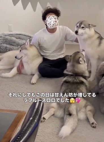 幸せすぎる、くつろぎタイム