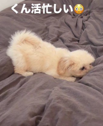 「一緒にいる時間を大切にしていきたい」