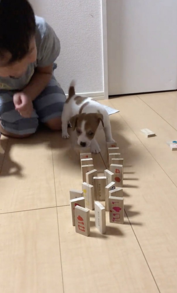 鼻先でツンッ