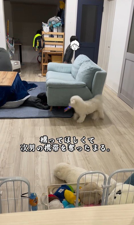 まる君VS男の子2