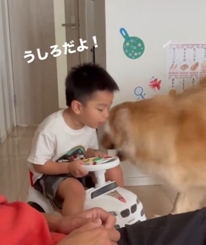 おもちゃの車の後ろに回るように犬に伝える男の子
