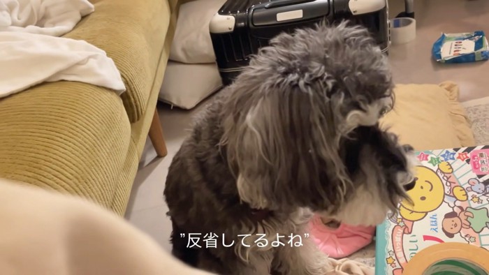 コクッと頷いてくれました！