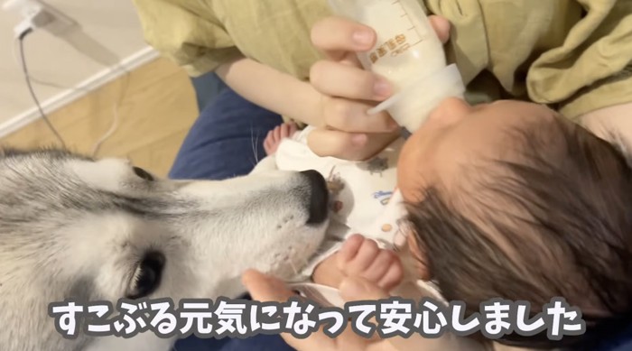 ずーと気になる