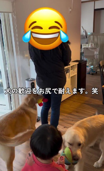 お尻で対応！？