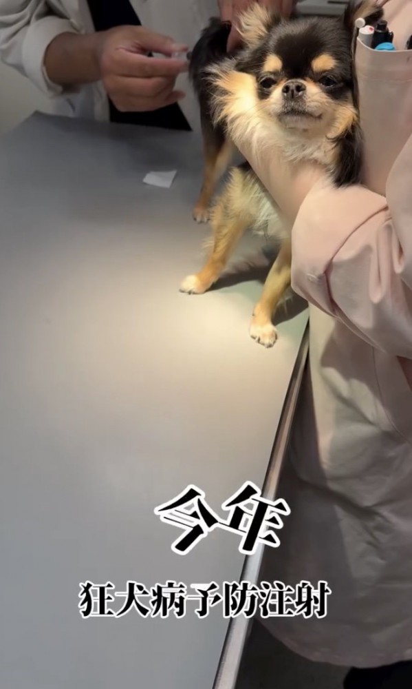 騒いでない