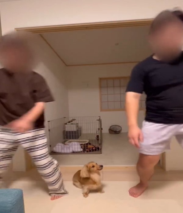 2人と犬2