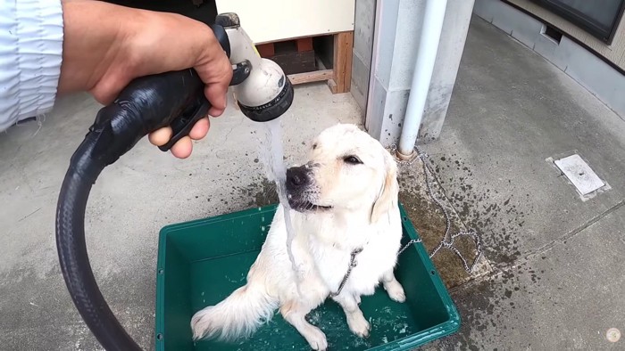 打ち水のようにシャワーをかける