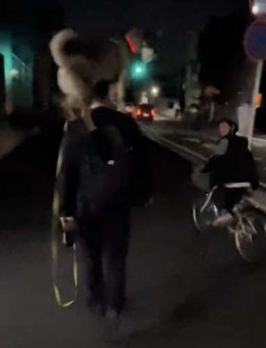 犬を見る自転車の人