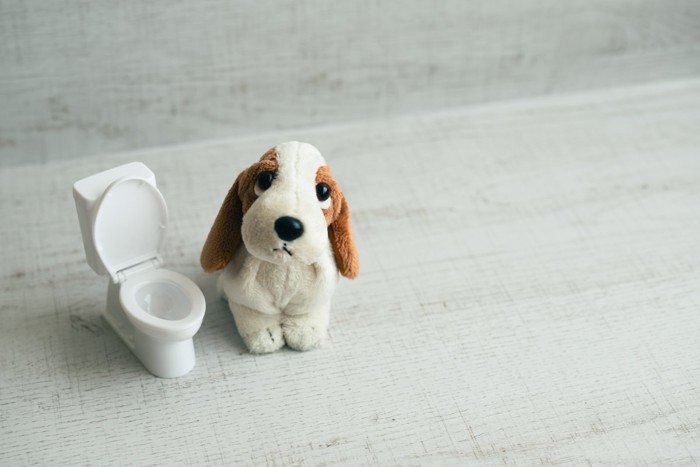 トイレと犬のぬいぐるみ