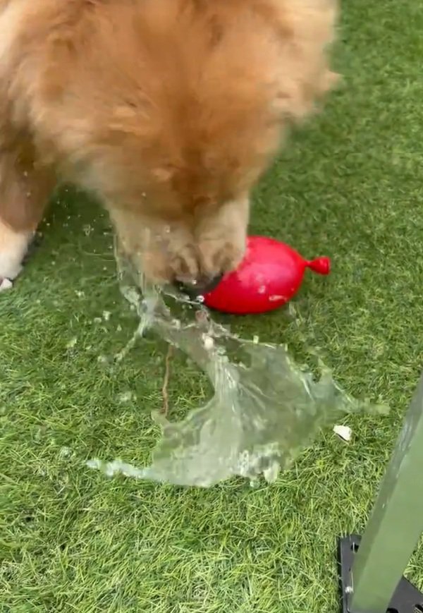 割れた水風船
