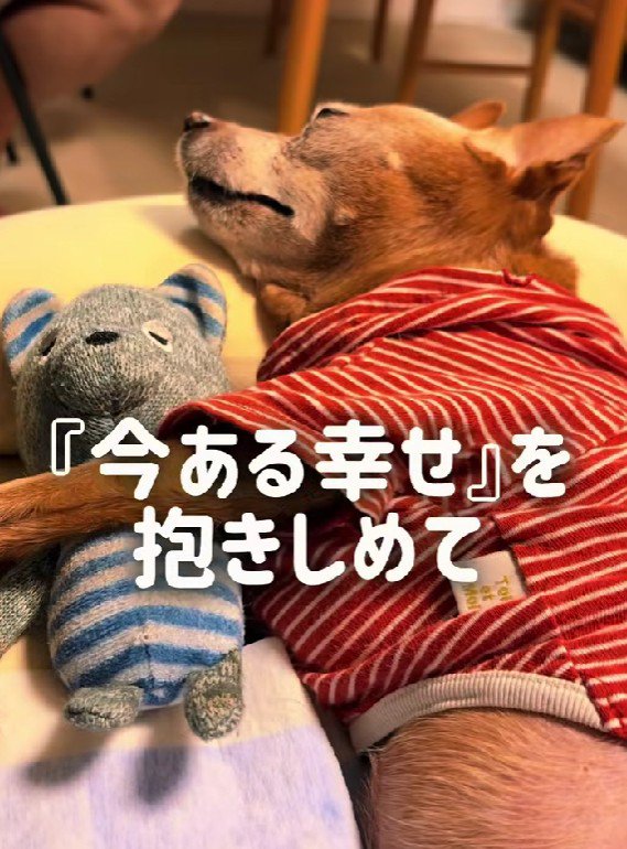 それ以上に尊いものがたくさんある!