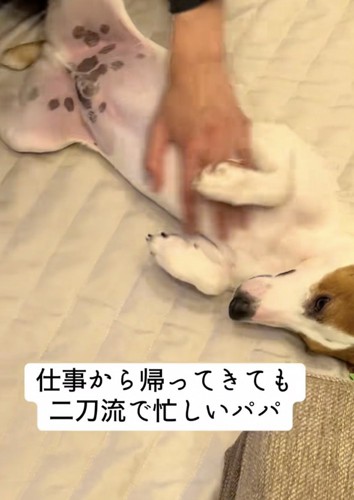 ナデナデにウットリ…