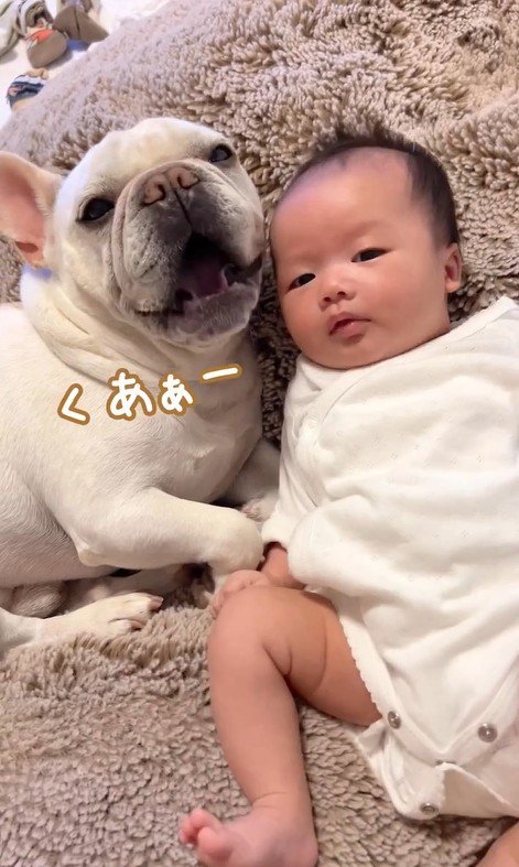 ポトフくんが眠くなって…