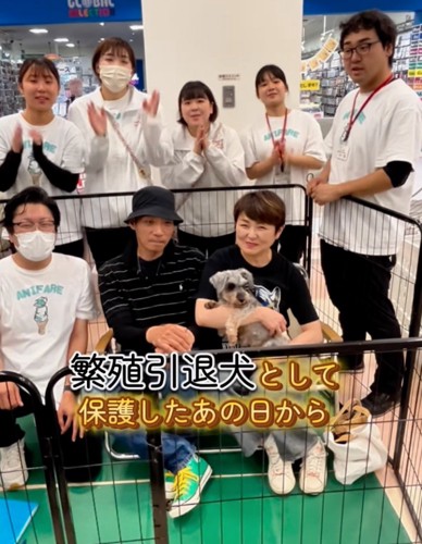 祝福される犬