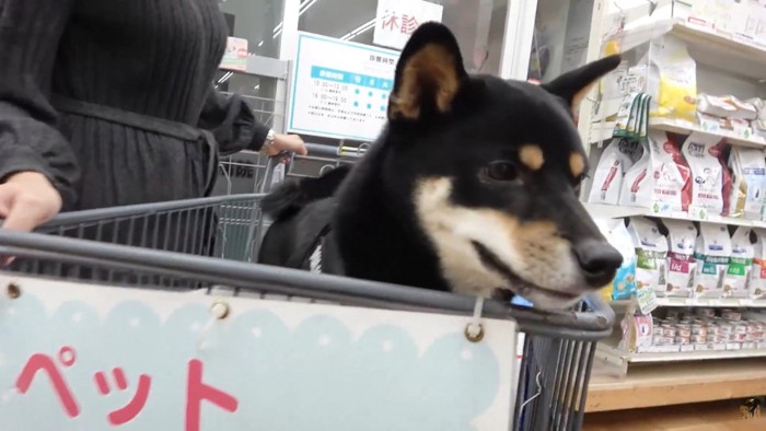 病院から目をそらしています
