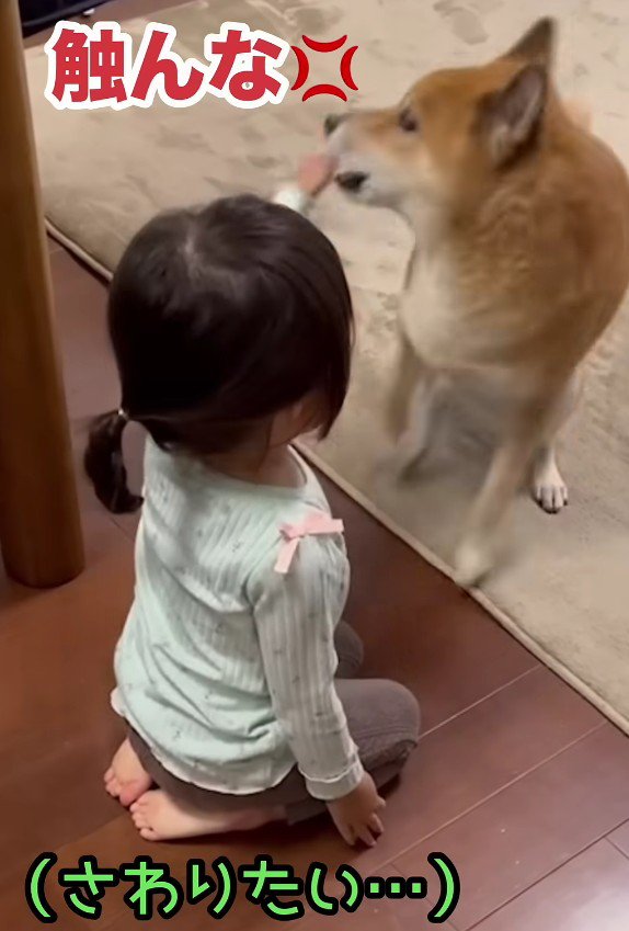 「触らないで！！」