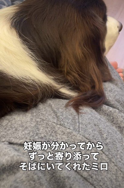 ママにも寄り添ってくれていた
