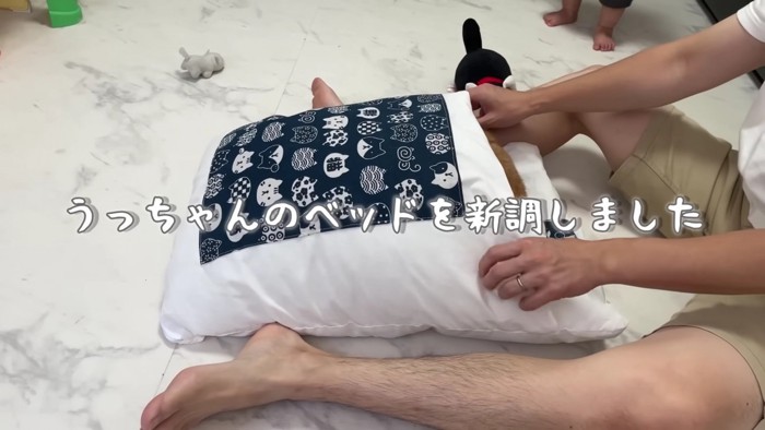 うにちゃんの布団を新調