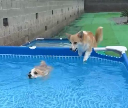 まさかの