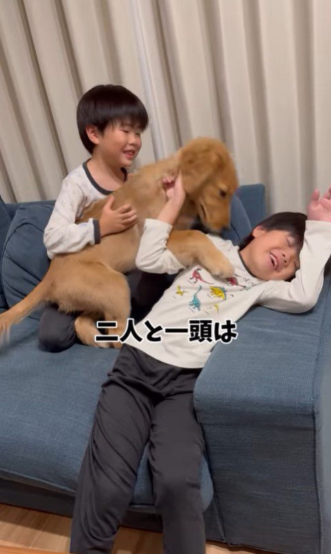 もなかちゃんとの1年間の軌跡7