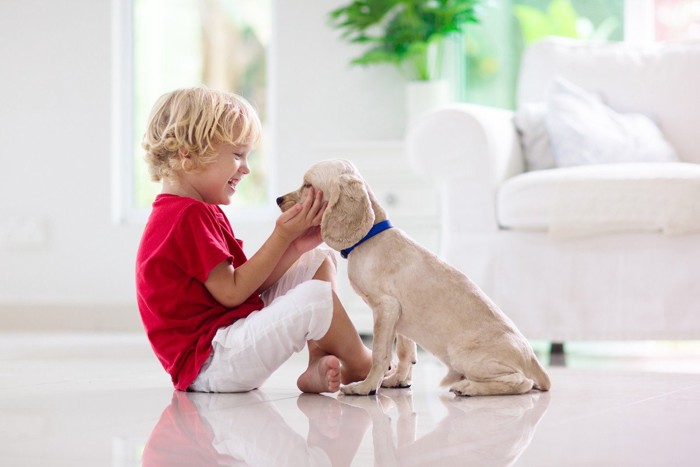 子供と遊ぶ子犬